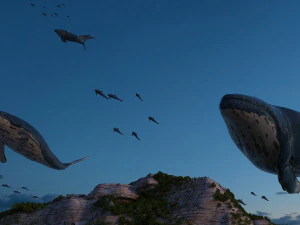 school of fish 3D Model