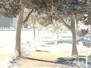 city building 3Dモデル