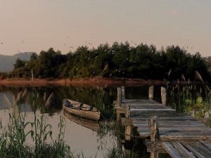 pond Model 3D