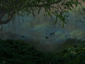 forest 3Dモデル