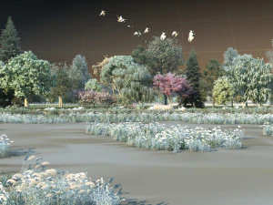 wetlands 3D Model