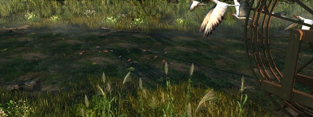 wetlands 3D-Modell .c4d .max .obj .3ds .fbx .stl .blend 