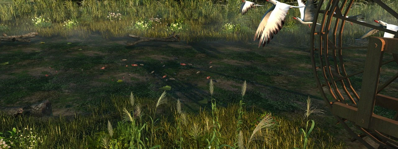 wetlands 3D Model .c4d .max .obj .3ds .fbx .stl .blend 