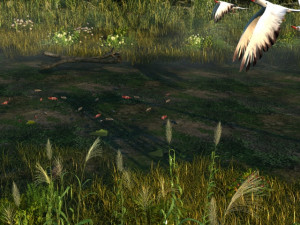 wetlands 3D-Modell