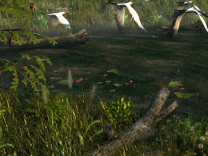 wetlands 3D-Modell