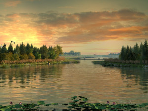 wetlands Modèle 3D