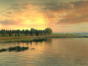 wetlands 3D Модель