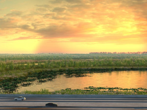 wetlands 3D Модель