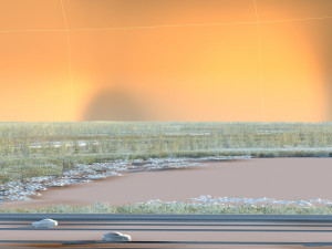 wetlands 3D Модель