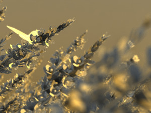 lavender Model 3D