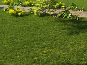 picnic 3D 모델