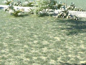 picnic 3D Model
