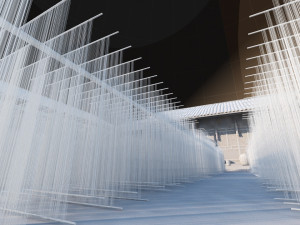 sun-dried noodles 3Dモデル