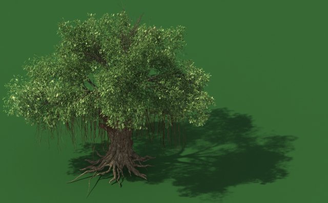 eucalyptus 3D Модель .c4d .max .obj .3ds .fbx .stl .blend 
