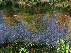 pond 3D Model