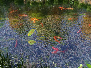 pond 3D Model