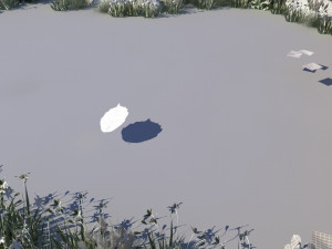 pond 3Dモデル