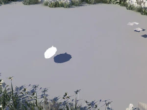 pond 3D Model