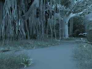 rainforest 3D Model