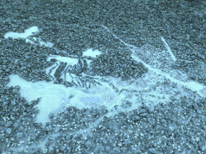 scenic area 3Dモデル