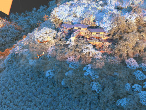 scenic area 3D 模型