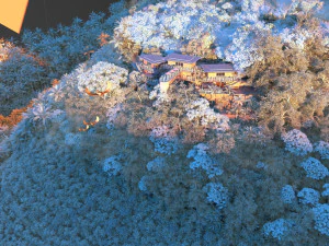 scenic area 3D Model