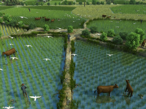 farmland 3D Model