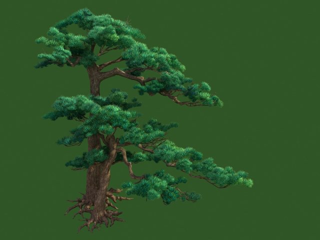 pine Modelo 3D .c4d .max .obj .3ds .fbx .stl .blend 