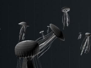 jellyfish Model 3D