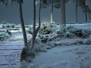 wooden walkway Modello 3D