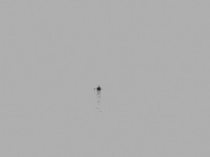 dragon boat Modèle 3D