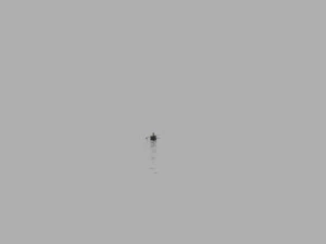 dragon boat 3D Model