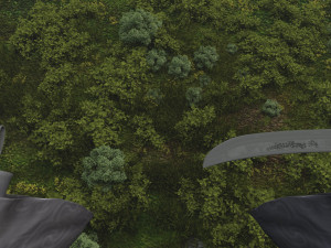 wild boar Model 3D