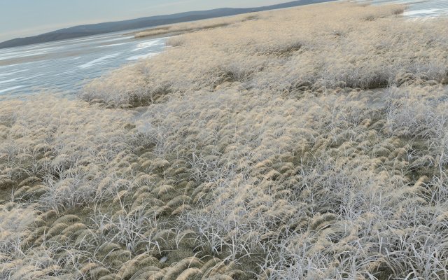 winter reeds 3D Model .c4d .max .obj .3ds .fbx .stl .blend 