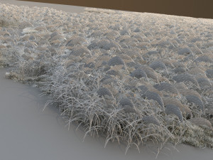 winter reeds 3D Model