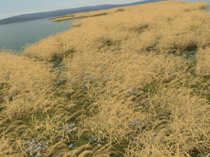 autumn reeds 3D Model