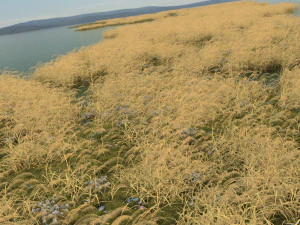 ca&ntilde;as de oto&ntilde;o Modelo 3D