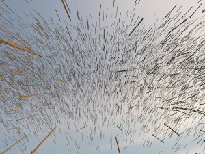 grass boat borrowing arrows Model 3D