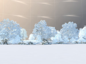 winter Modello 3D