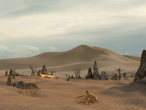 desert 3D Model