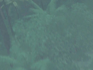 ponte suspensa Modelo 3D