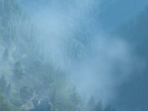 mountain forest 3D मॉडल