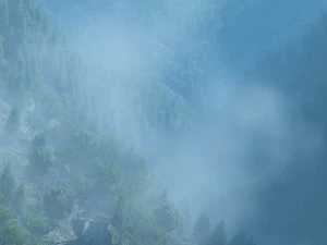 foresta di montagna Modello 3D