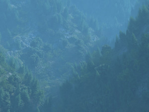 mountain forest 3D मॉडल