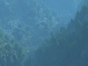 foresta di montagna Modello 3D