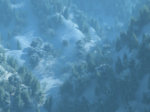 mountain forest 3D मॉडल