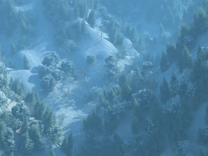 foresta di montagna Modello 3D