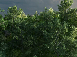 floresta de montanha Modelo 3D