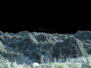 mountain forest 3D Model