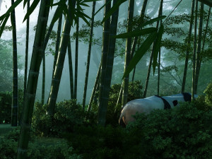 panda Model 3D